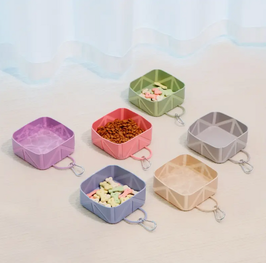 BowlEase™  Travel Dog Bowl